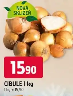 Trefa Cibule nabídka