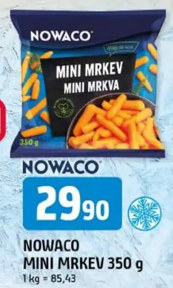 Trefa NOWACO mini mrkev nabídka