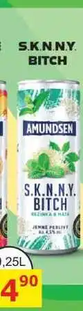 BENE Nápoje S.K.N.N.Y BITCH AMUNDSEN 0,25l míchaný nápoj nabídka