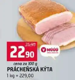 Terno PRÁCHEŇSKÁ KÝTA nabídka