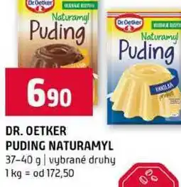 Terno DR. OETKER PUDING NATURAMYL 37-40 g vybrané druhy nabídka