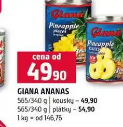 Terno GIANA ANANAS 565/340 g kousky 565/340 g plátky nabídka