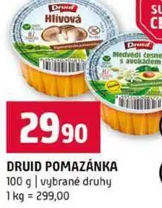 Terno DRUID POMAZÁNKA 100 g vybrané druhy nabídka