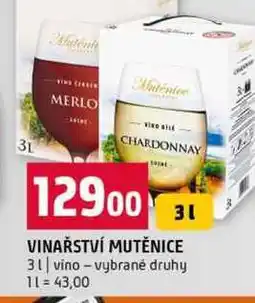 Terno VINAŘSTVÍ MUTĚNICE 3l vino vybrané druhy nabídka