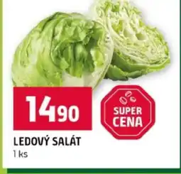 Terno Ledový salát nabídka