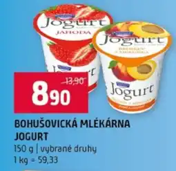 Terno BOHUŠOVICKÁ MLÉKÁRNA JOGURT nabídka