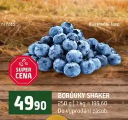 Terno BORŮVKY SHAKER nabídka