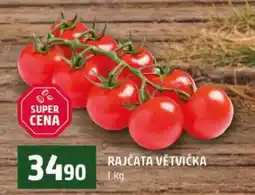 Terno RAJČATA VĚTVIČKA nabídka