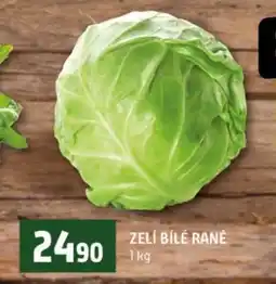 Terno Zelí bílé rané nabídka