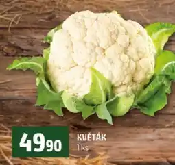 Terno Květák nabídka