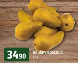 Terno HRUŠKY BOSCOVA nabídka