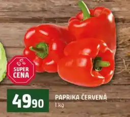 Terno Paprika červená nabídka