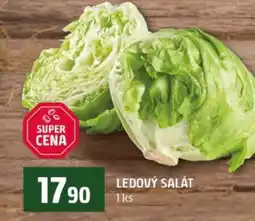 Terno Ledový salát nabídka
