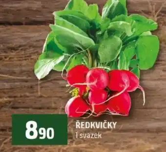 Terno Ředkvičky nabídka