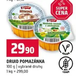 Terno DRUID POMAZÁNKA nabídka