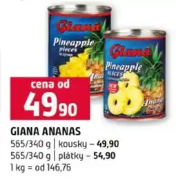 Terno Giana Ananas nabídka