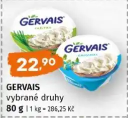 Terno Gervais vybrané druhy nabídka