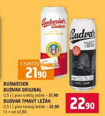 Terno Budvar Tmavý ležák nabídka