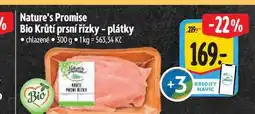 Albert Nature's Promise Bio Krůtí prsní řízky - plátky nabídka