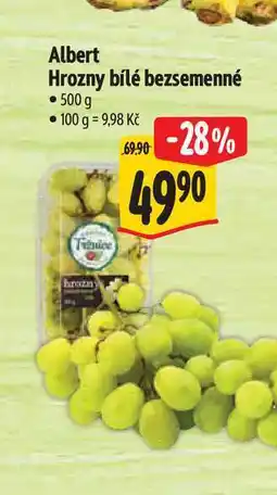 Albert Albert Hrozny bílé bezsemenné nabídka