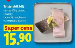Lidl Tolstolobik bílý, cena za nabídka