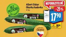 Albert Albert Oskar Okurka hadovka nabídka
