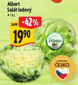 Albert Albert Salát ledový nabídka