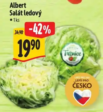 Albert Albert Salát ledový nabídka