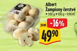 Albert Albert Žampiony čerstvé nabídka