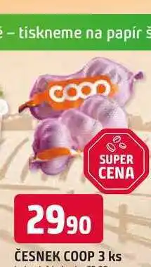 Trefa ČESNEK COOP 3 ks nabídka