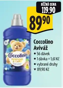 Albert Coccolino Aviváž nabídka