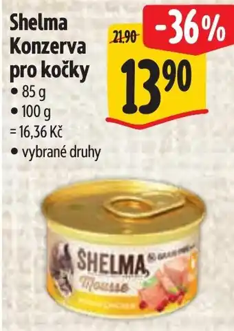 Albert Shelma Konzerva pro kočky nabídka
