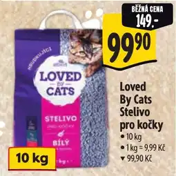 Albert Loved By Cats Stelivo pro kočky nabídka