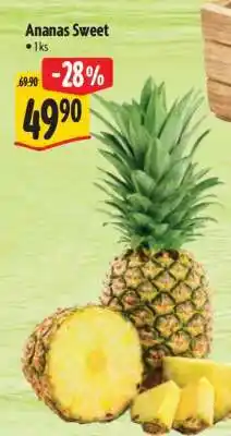 Albert Ananas sweet nabídka
