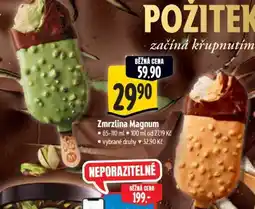 Albert Zmrzlina Magnum nabídka