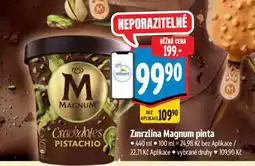 Albert Zmrzlina Magnum Pinta nabídka