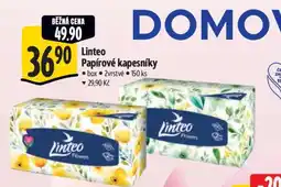 Albert Linteo papírové kapesníky nabídka