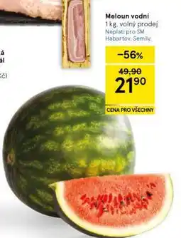 Tesco MELOUN VODNÍ nabídka