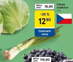 Tesco Cibule svazková nabídka