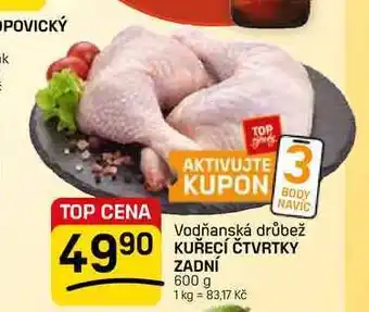 Flop KUŘECÍ ČTVRTKY ZADNÍ nabídka