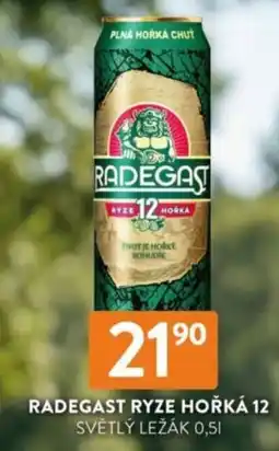 Qanto Radegast ryze hořká 12 světlý ležák nabídka