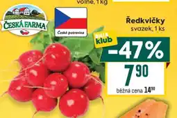 Billa Ředkvičky svazek nabídka