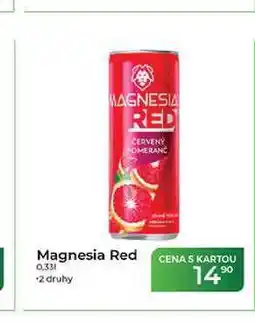 Tamda Foods Magnesia Red 0,331 nabídka
