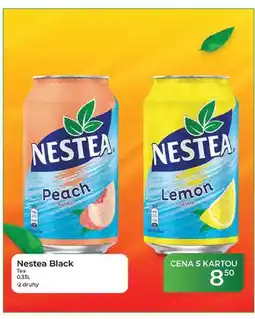 Tamda Foods Nestea Black Tea nabídka