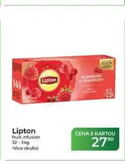 Tamda Foods Lipton fruit infusion nabídka