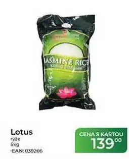 Tamda Foods Lotus rýže nabídka