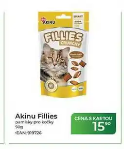 Tamda Foods Akinu Fillies pamlsky pro kočky nabídka