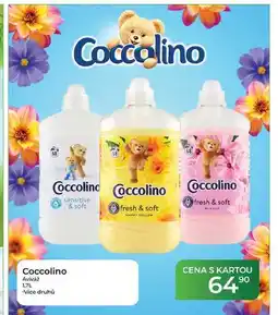 Tamda Foods Coccolino aviváž nabídka