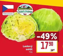 Billa Ledový salát nabídka