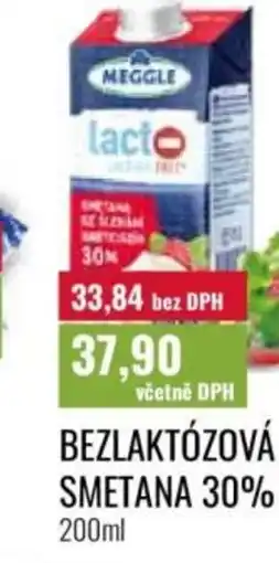 Ratio Meggle Bezlaktózová smetana 30% nabídka
